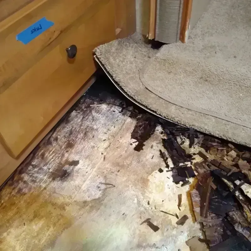 Wood Floor Water Damage in North Tunica, MS